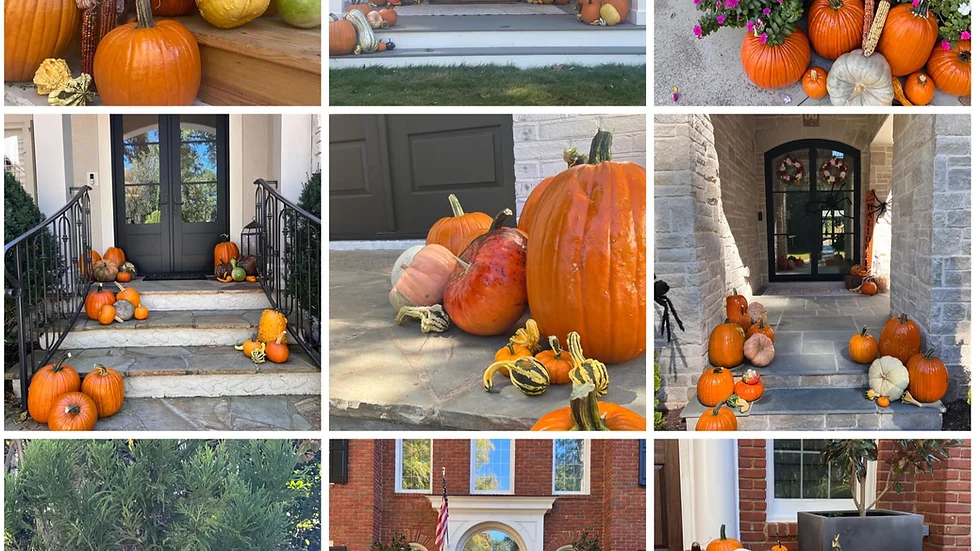 Package 3 - The Grand Pumpkin!