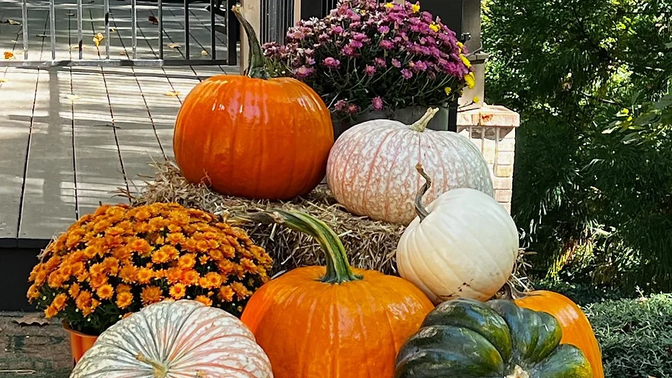 Package 2 - Lovely Pumpkins Everywhere